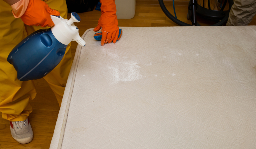 Can I Spray Lysol on My Mattress?
