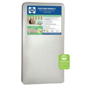 Best Sealy Crib Mattress