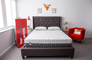 Layla 10” Queen Memory Foam Mattress